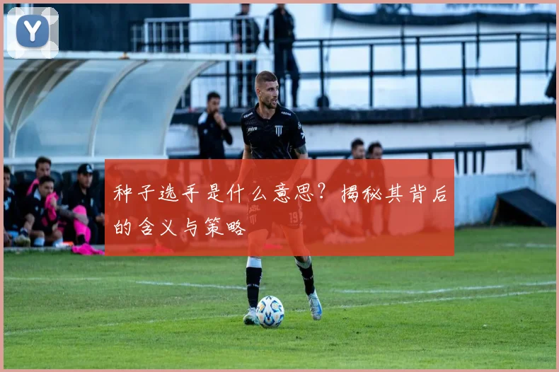 种子选手是什么意思？揭秘其背后的含义与策略