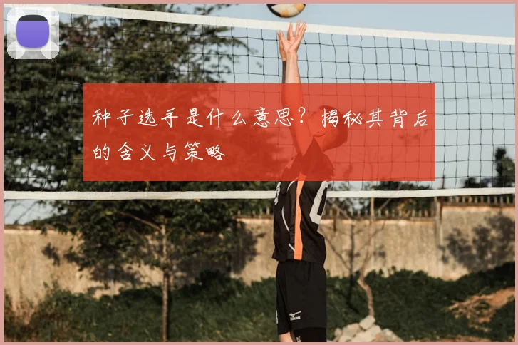 种子选手是什么意思？揭秘其背后的含义与策略