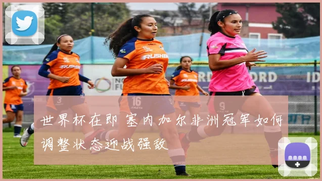世界杯在即 塞内加尔非洲冠军如何调整状态迎战强敌