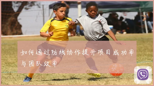 如何通过防线协作提升项目成功率与团队效率