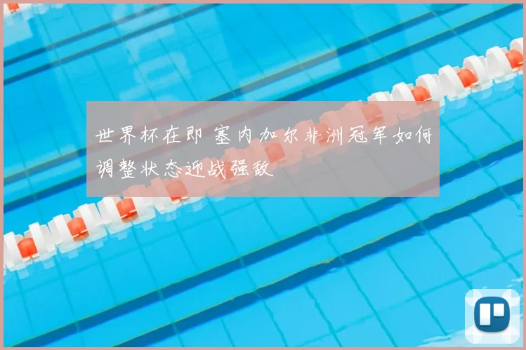 世界杯在即 塞内加尔非洲冠军如何调整状态迎战强敌